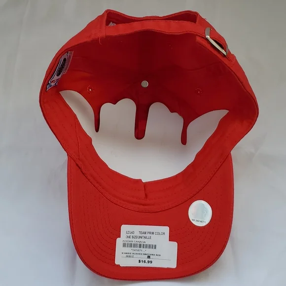 Toronto Raptors cap hat - Picture 5 of 5